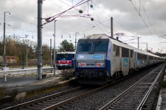 TDN-2024_-179