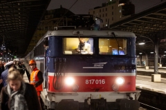 TDN-2024_-222