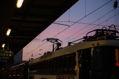 TDN25-79