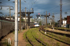 TDP-1-2025-24