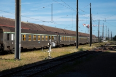 TDP1-26-137