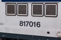 DSC_2110